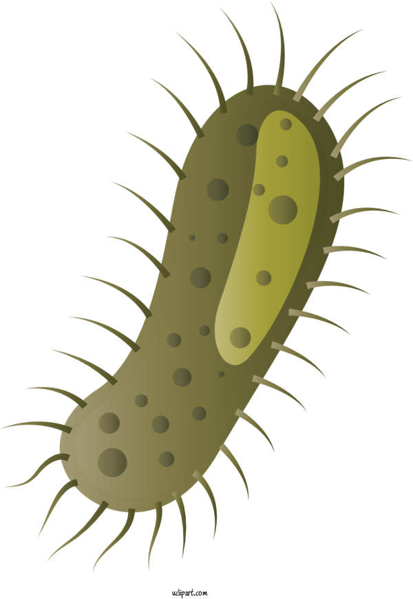 Free Medical Caterpillar  Kingdom For Virus Clipart Transparent Background