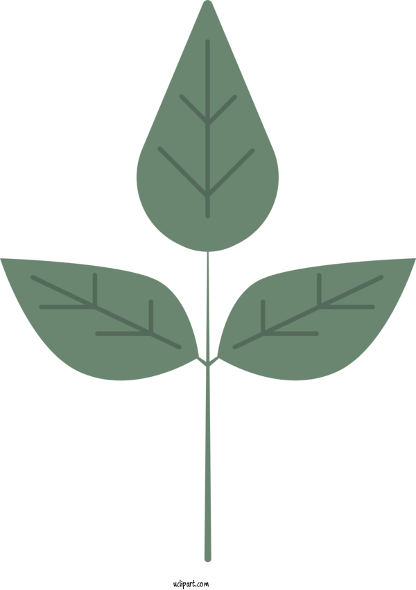 Free Nature Leaf Design Plant Stem For Leaf Clipart Transparent Background