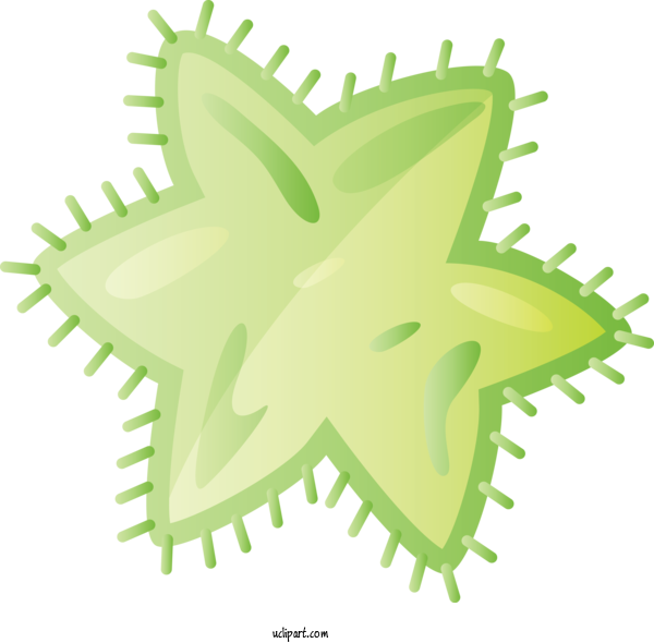 Free Medical Plant Stem Starfish Leaf For Virus Clipart Transparent Background