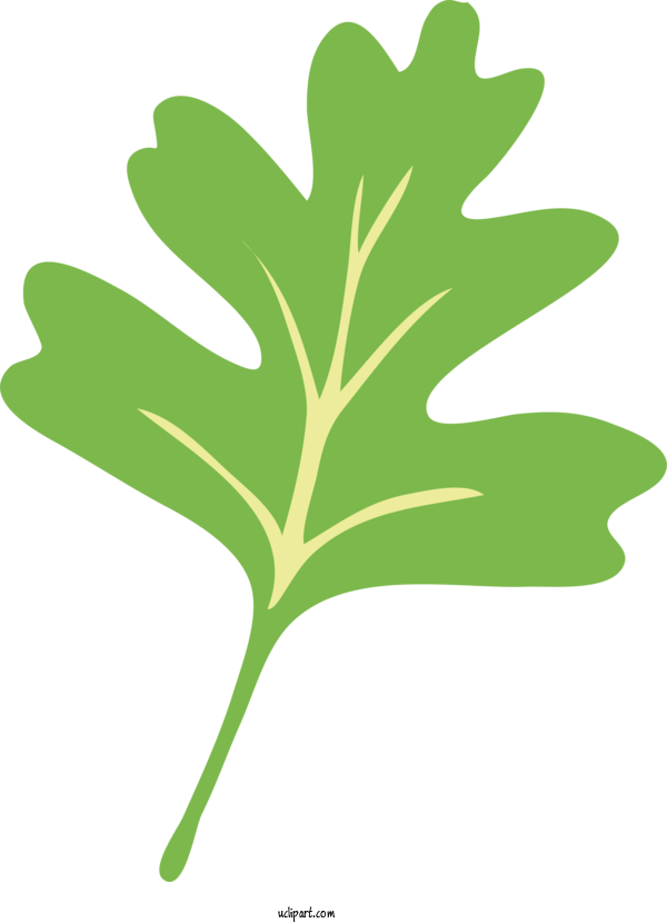 Free Nature Plant Stem Leaf Green For Leaf Clipart Transparent Background