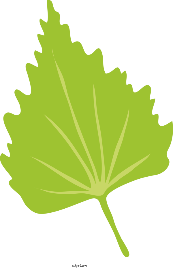 Free Nature Leaf Auckland Tree Services Tree For Leaf Clipart Transparent Background