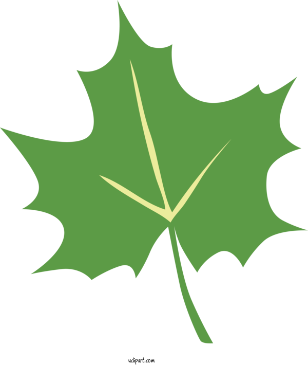 Free Nature Leaf Maple Leaf Social Media For Leaf Clipart Transparent Background