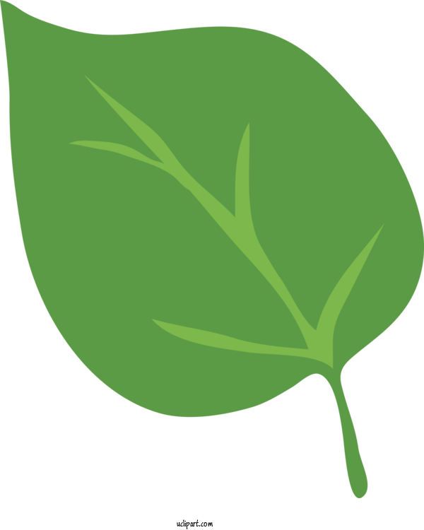 Free Nature Green Plant Stem Funding For Leaf Clipart Transparent Background