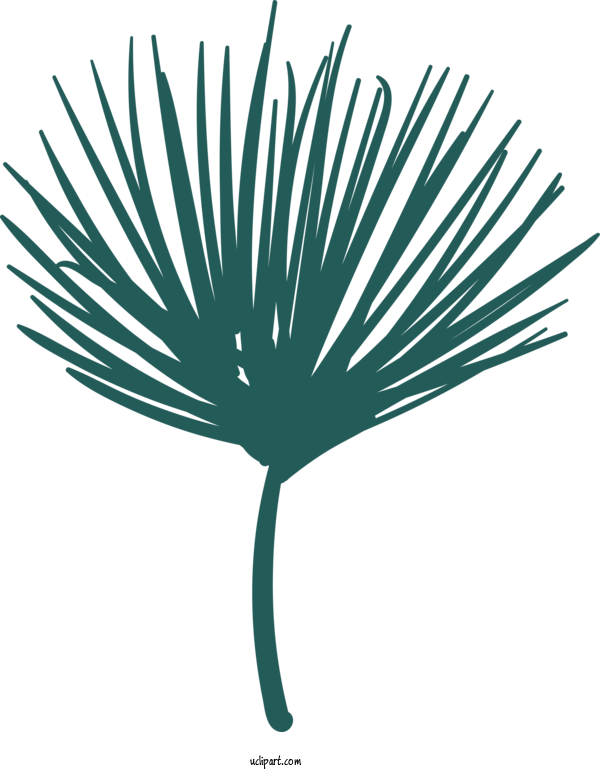Free Nature Palm Trees Plant Stem Leaf For Leaf Clipart Transparent Background
