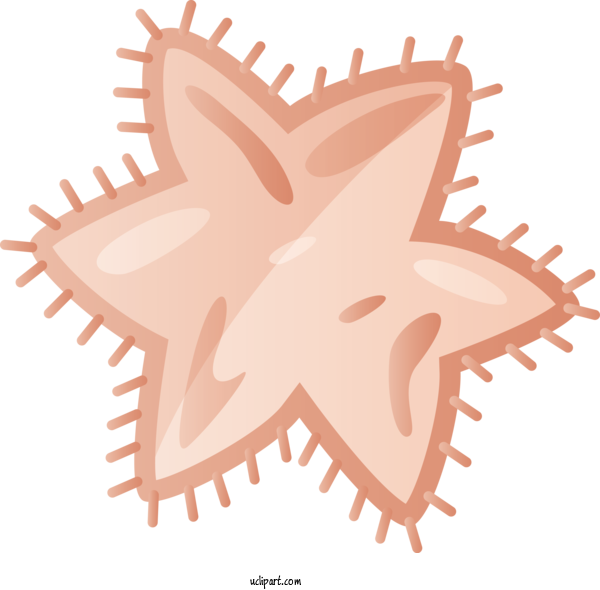 Free Medical Starfish Pink M For Virus Clipart Transparent Background