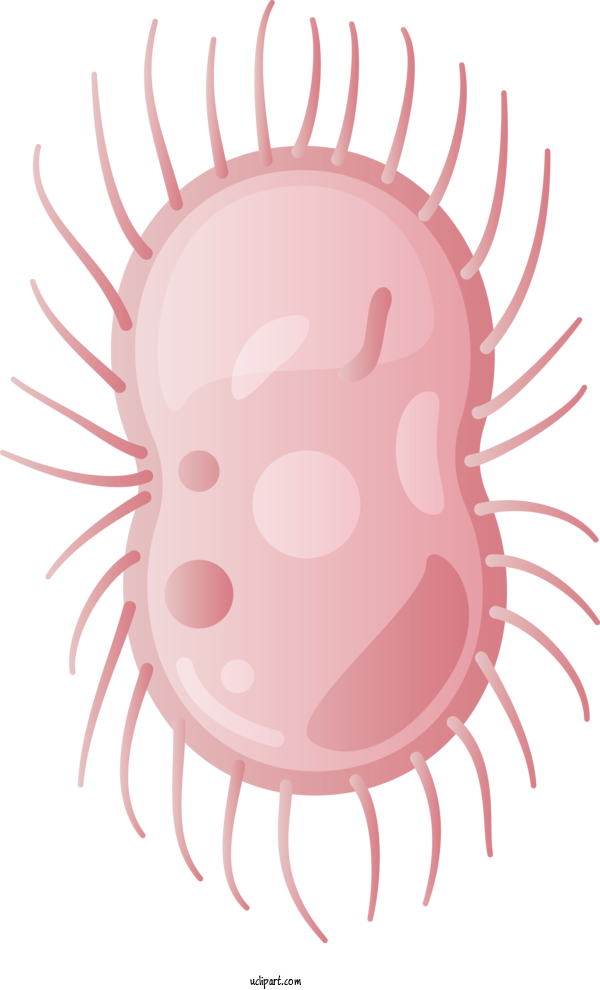 Free Medical Virus Snout Icon For Virus Clipart Transparent Background