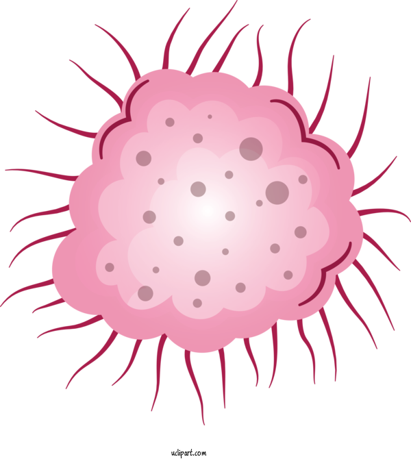 Free Medical Petal Cartoon Pink M For Virus Clipart Transparent Background