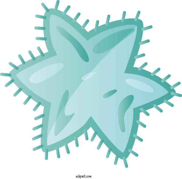 Free Medical Starfish Leaf Fish For Virus Clipart Transparent Background