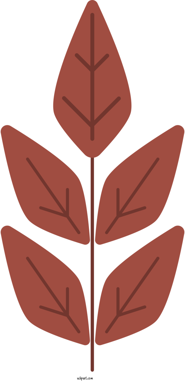 Free Nature Leaf Angle M Tree For Leaf Clipart Transparent Background