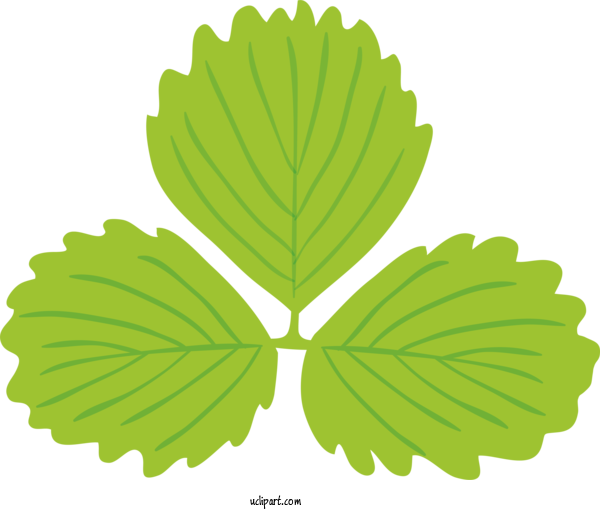 Free Nature Leaf Taranome Sabze Zayandeh Roud Business For Leaf Clipart Transparent Background