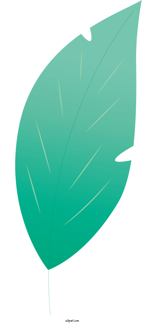 Free Nature Leaf Green Angle For Leaf Clipart Transparent Background