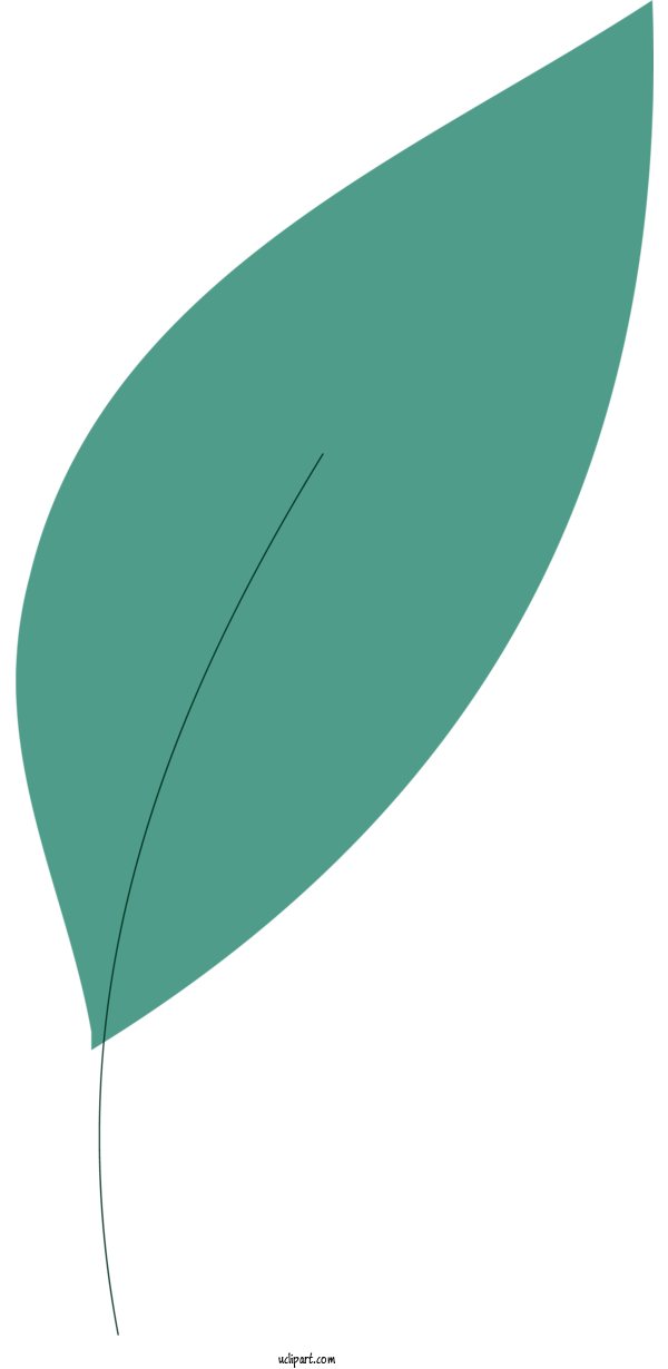 Free Nature Leaf Angle Line For Leaf Clipart Transparent Background