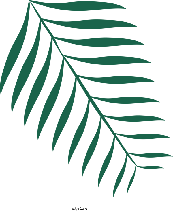 Free Nature Plant Stem Line Art Leaf For Leaf Clipart Transparent Background