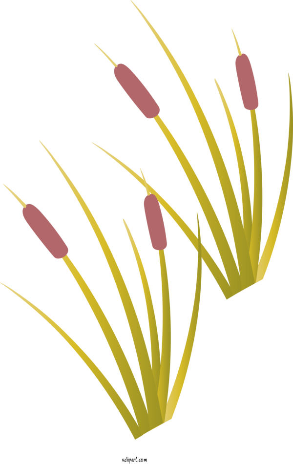 Free Nature Plant Stem Yellow Grasses For Tree Clipart Transparent Background