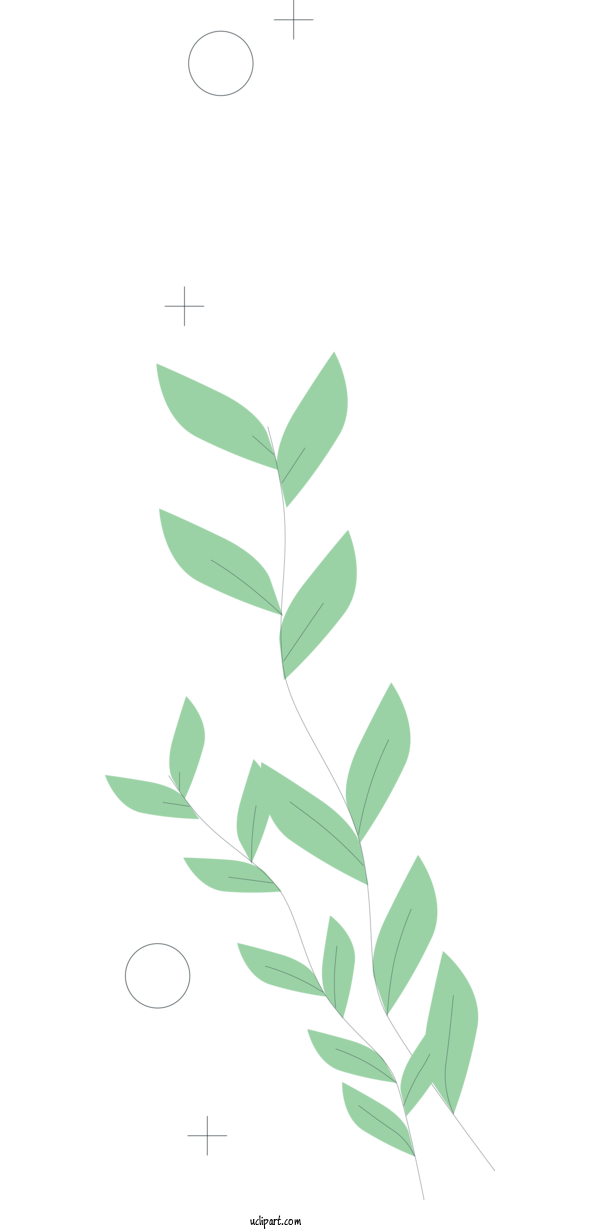 Free Nature Income Branch Plant Stem For Plant Clipart Transparent Background