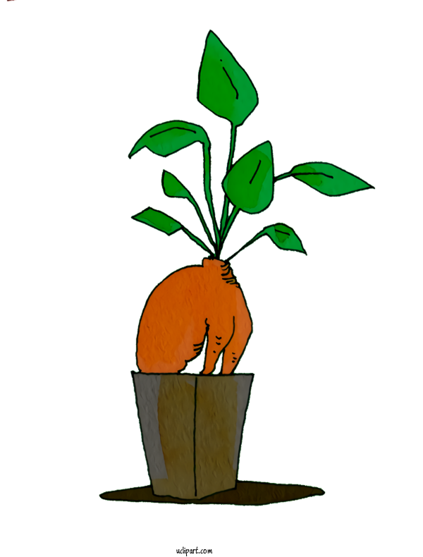 Free Nature Plant Stem Leaf Cartoon For Plant Clipart Transparent Background