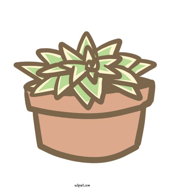 Free Nature Succulent Plant Watercolor Painting Cactus For Plant Clipart Transparent Background