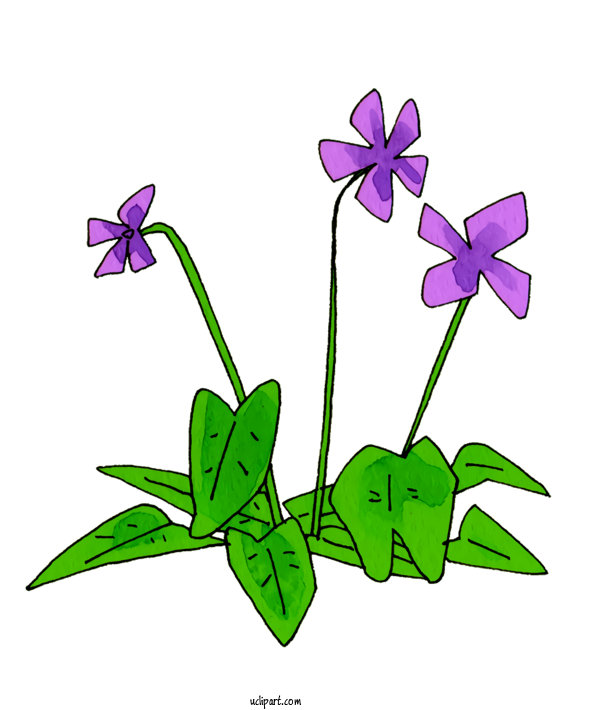 Free Nature Floral Design Plant Stem Petal For Plant Clipart Transparent Background