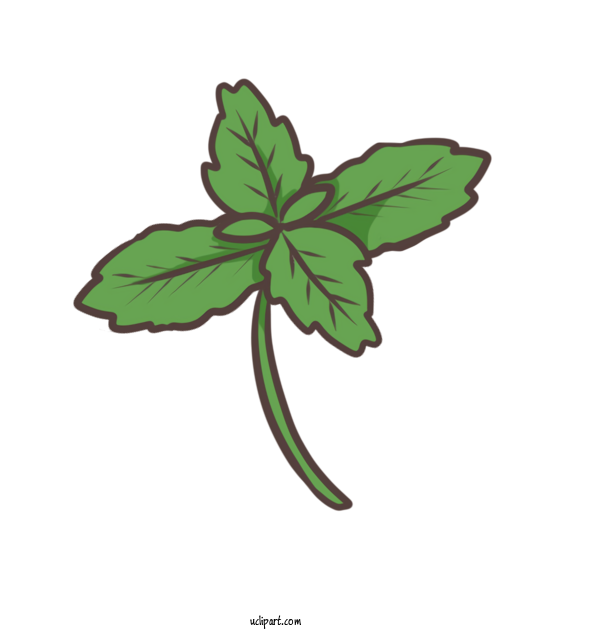 Free Nature Plant Stem Leaf Flower For Plant Clipart Transparent Background
