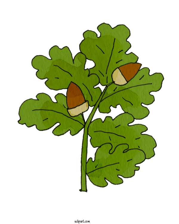 Free Nature Plant Stem Leaf Leaf Vegetable For Plant Clipart Transparent Background