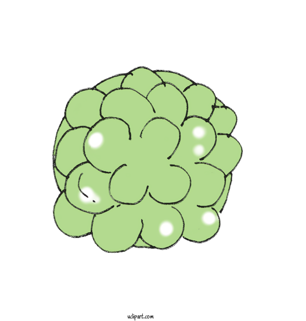 Free Nature Grape Green Pattern For Plant Clipart Transparent Background