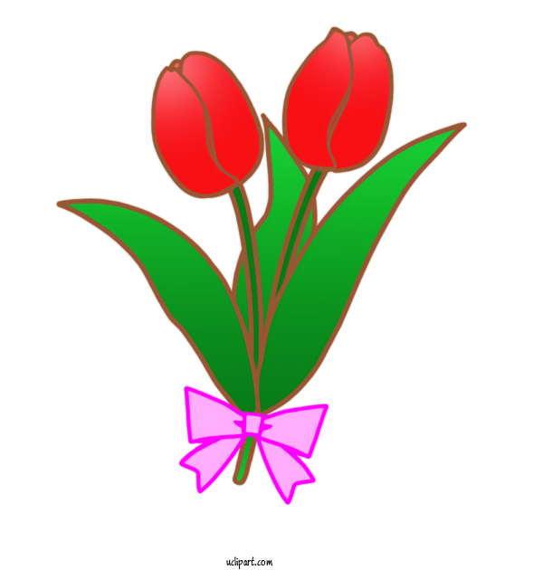 Free Nature Tulip Gotemba Premium Outlets Bus For Plant Clipart Transparent Background