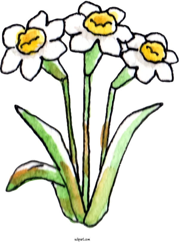 Free Nature Floral Design Wild Daffodil Design For Plant Clipart Transparent Background