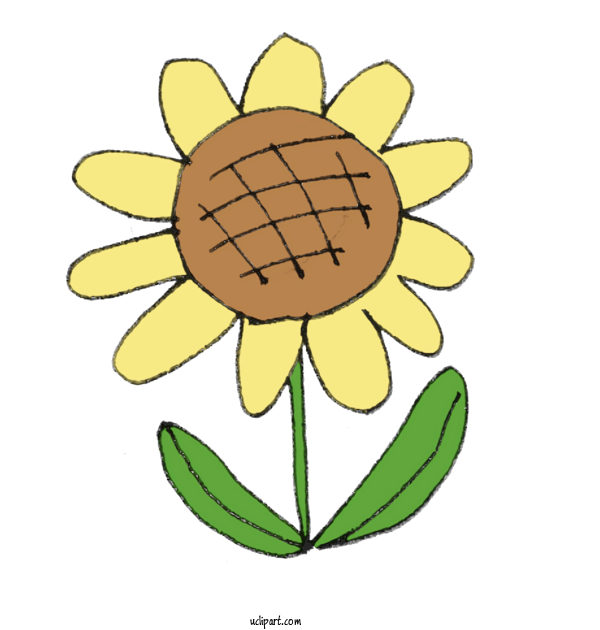 Free Nature Plant Stem Common Sunflower Cut Flowers For Plant Clipart Transparent Background