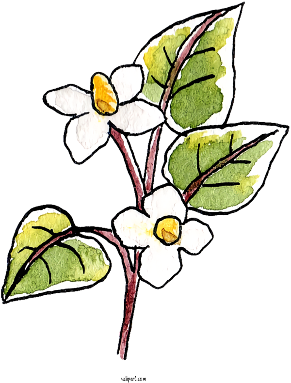 Free Nature Chameleon Plant Floral Design Health For Plant Clipart Transparent Background