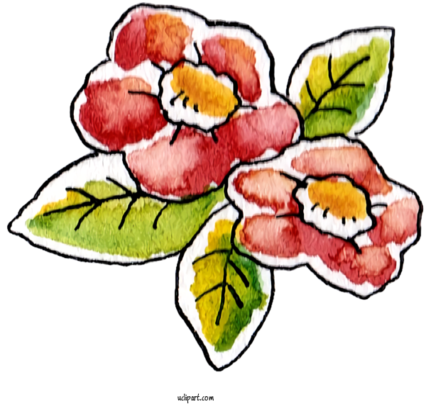 Free Nature Cut Flowers Floral Design Flower For Plant Clipart Transparent Background