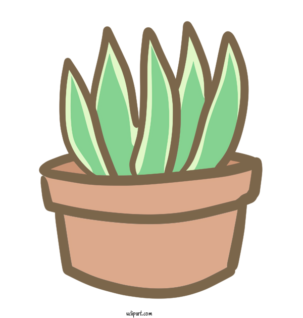 Free Nature Succulent Plant Cactus Drawing For Plant Clipart Transparent Background