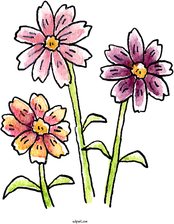 Free Nature Floral Design Design Flower For Plant Clipart Transparent Background
