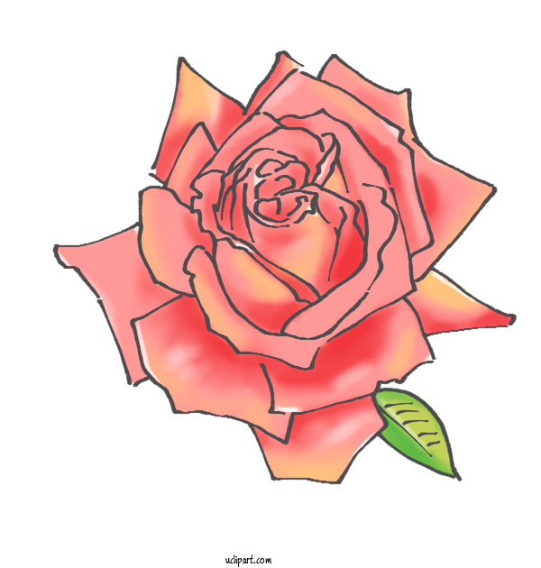 Free Nature Garden Roses Floral Design Plant Stem For Plant Clipart Transparent Background