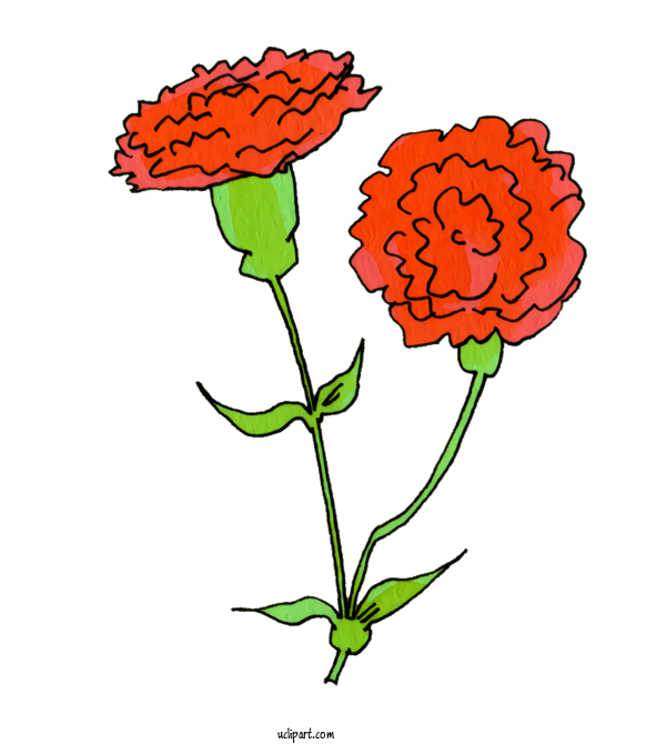 Free Nature Floral Design Plant Stem Cut Flowers For Plant Clipart Transparent Background
