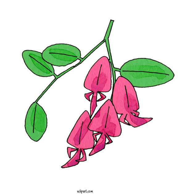 Free Nature Plant Stem Line Art Cartoon For Plant Clipart Transparent Background