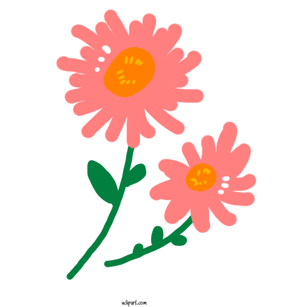 Free Nature Transvaal Daisy Color Tulip For Plant Clipart Transparent Background