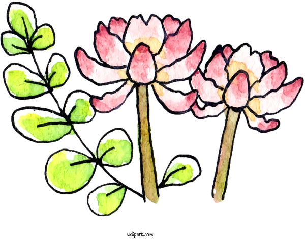 Free Nature 識字・日本語センター Floral Design For Plant Clipart Transparent Background