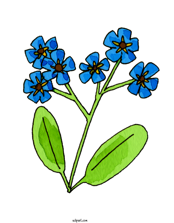 Free Nature Floral Design Plant Stem Leaf For Plant Clipart Transparent Background
