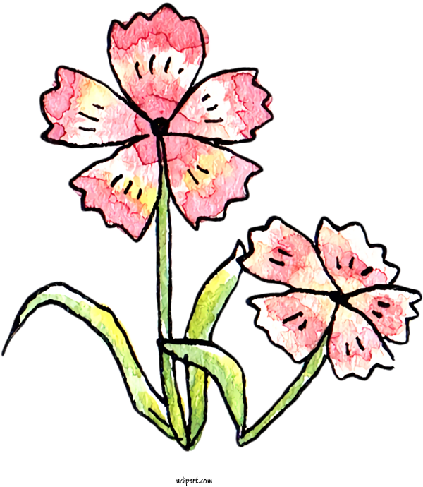 Free Nature Floral Design Cut Flowers For Plant Clipart Transparent Background