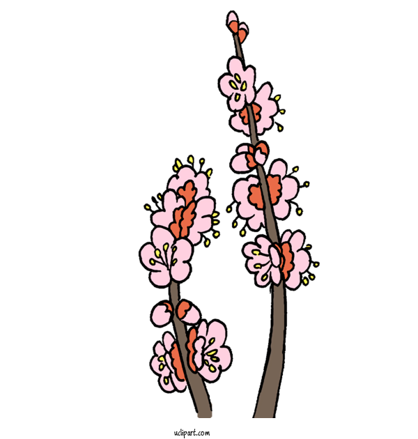 Free Nature Floral Design Design Twig For Plant Clipart Transparent Background