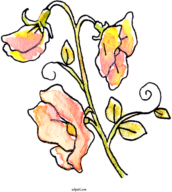 Free Nature Floral Design Leaf Plant Stem For Plant Clipart Transparent Background