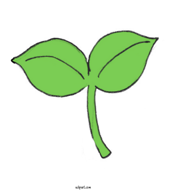 Free Nature Leaf Plant Stem 蓮の葉 For Plant Clipart Transparent Background