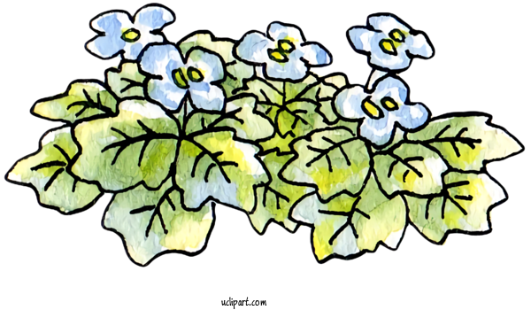 Free Nature Floral Design Plant Stem Cut Flowers For Plant Clipart Transparent Background