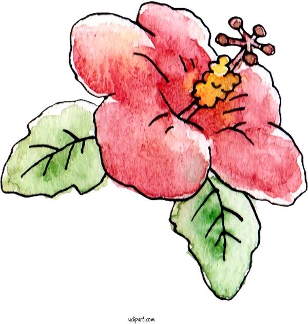 Free Nature Floral Design Plant Stem Design For Plant Clipart Transparent Background