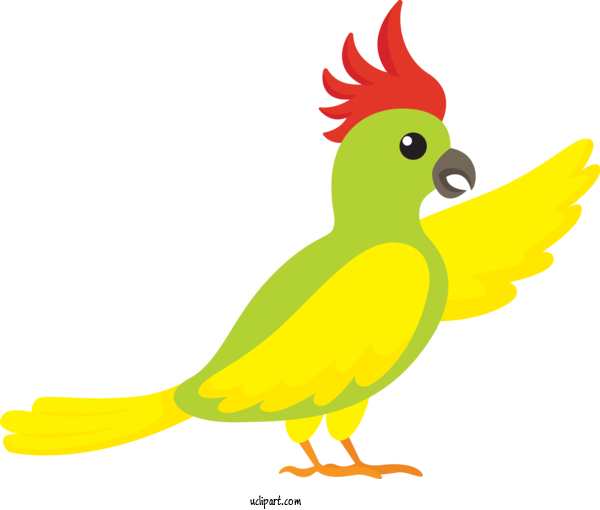 Free Animals Macaw Parrots Chicken For Bird Clipart Transparent Background