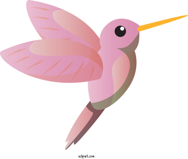 Free Animals Hummingbirds Insect Birds For Bird Clipart Transparent Background