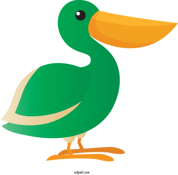 Free Animals Duck Ducks Birds For Bird Clipart Transparent Background
