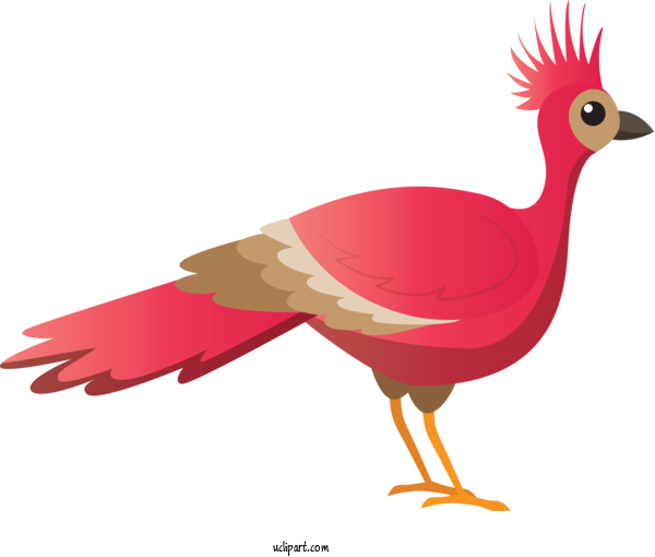 Free Animals Rooster Ducks Chicken For Bird Clipart Transparent Background