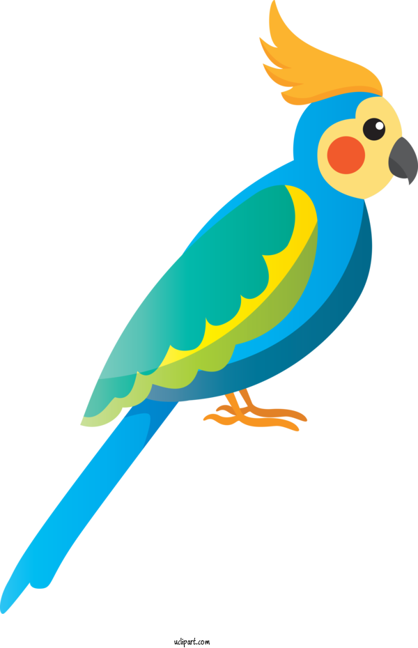Free Animals Macaw Parakeet Feather For Bird Clipart Transparent Background