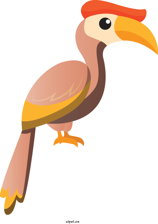 Free Animals Beak Ducks Hornbill For Bird Clipart Transparent Background